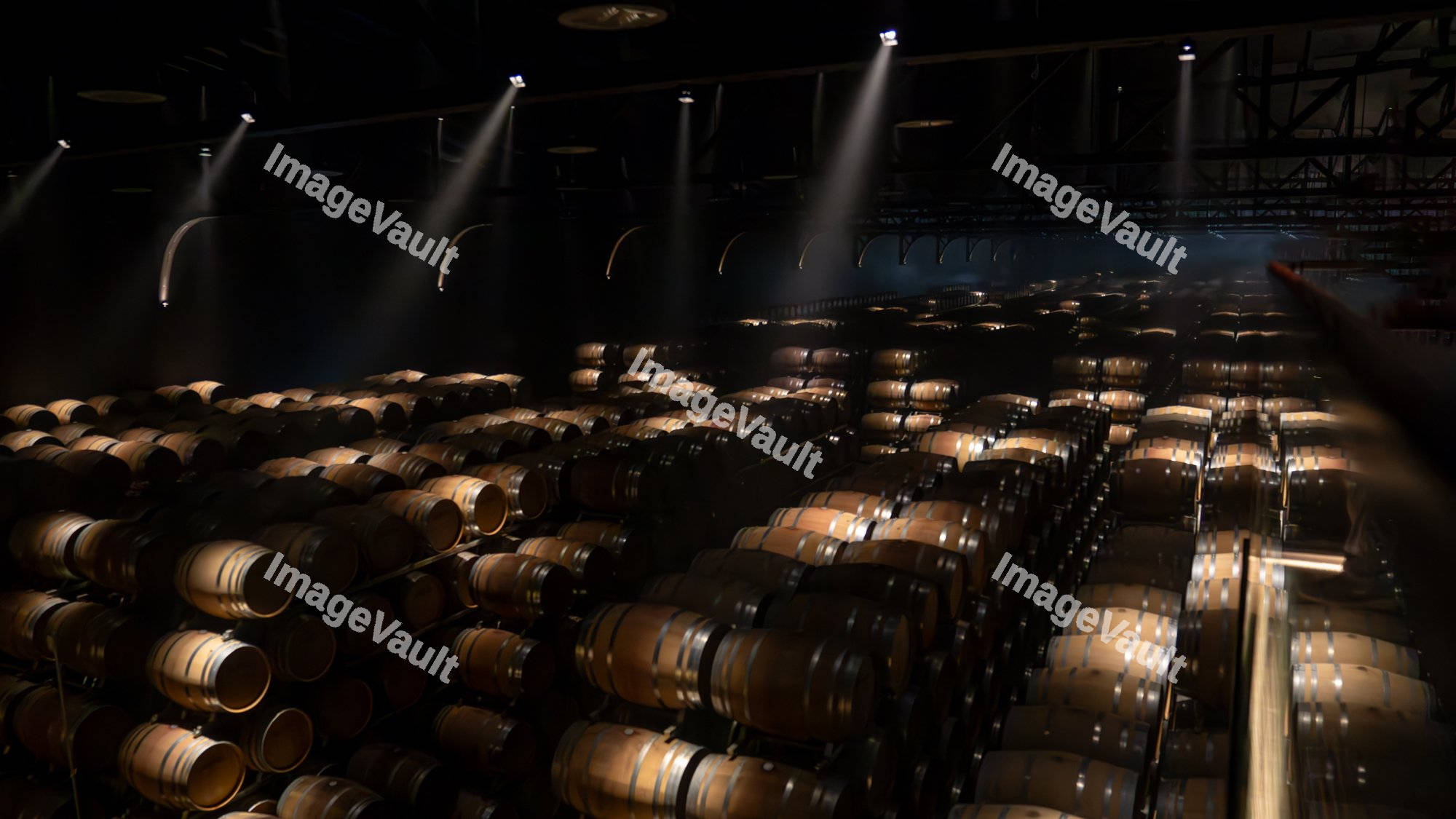 Oak barrels in the wine cellar